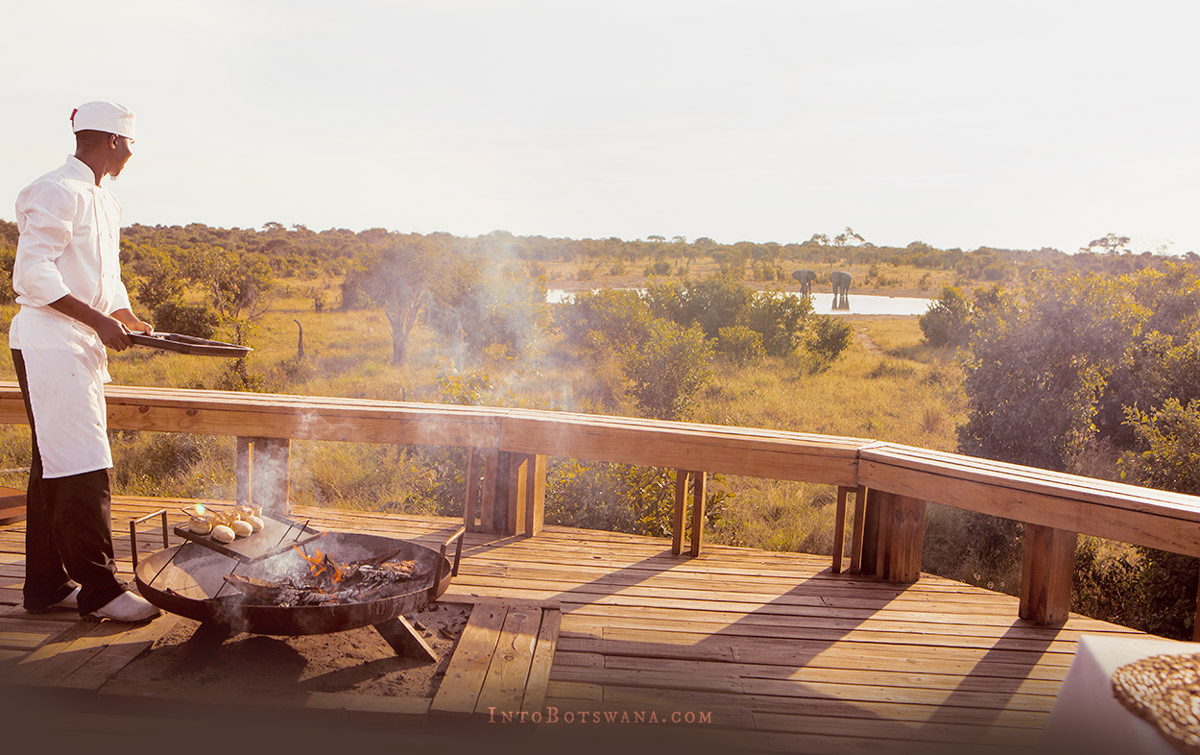 Dining with Elephants at waterhole