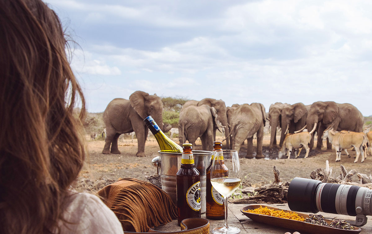 Wildlife Photography IntoBotswana.com