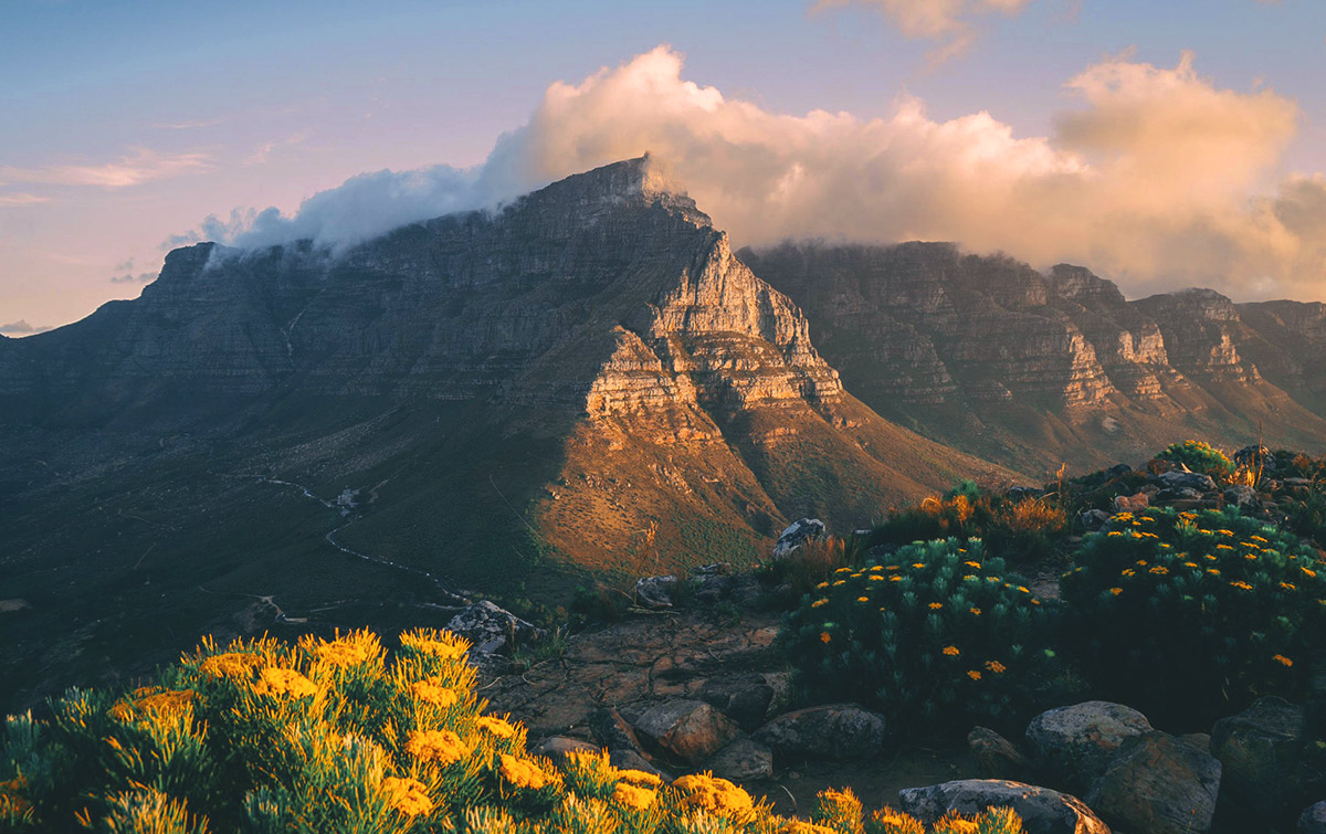 Private Jet Safari Cape Town IntoBotswana.com