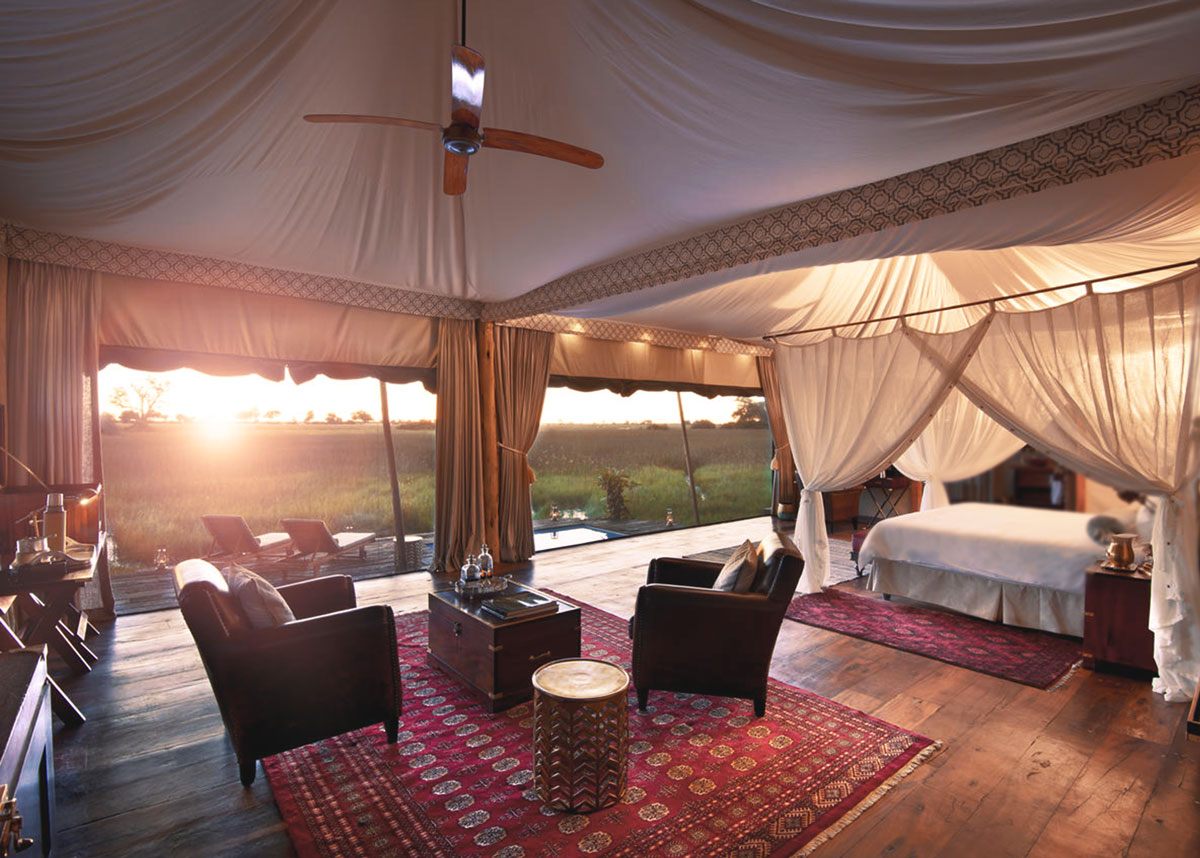 Big Cat Luxury Safari 