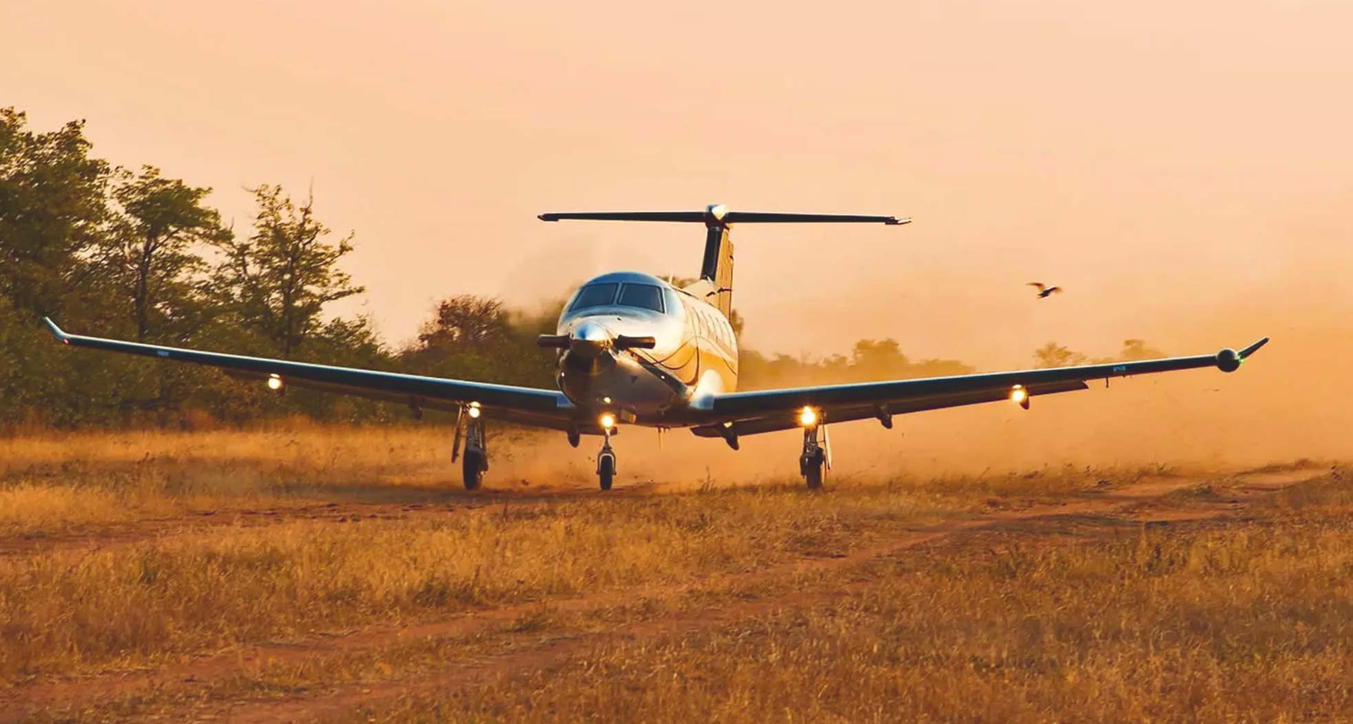 Guided Safaris® Private Journeys