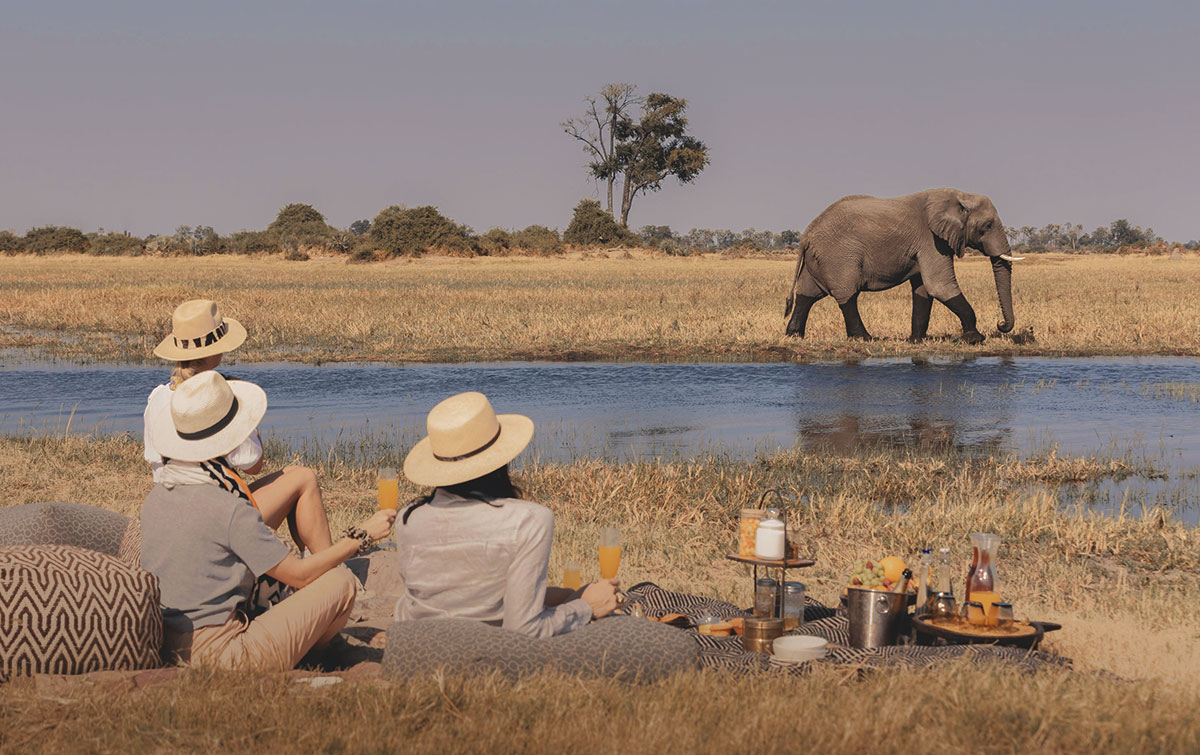 Mombo Camp Safari, IntoBotswana.com
