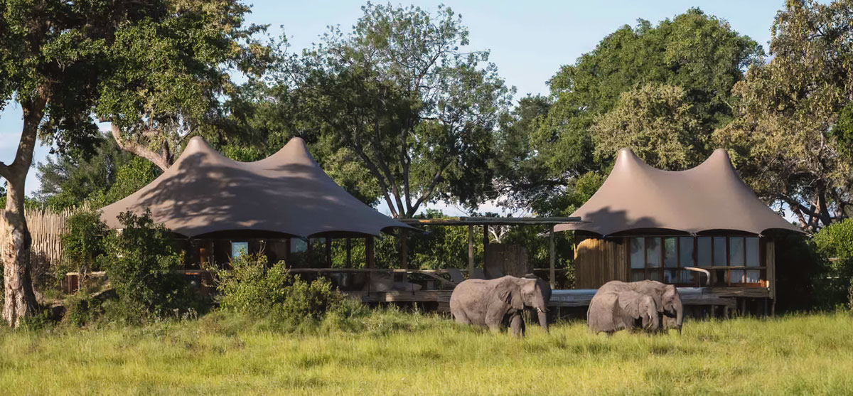 Big Game + Desert safari