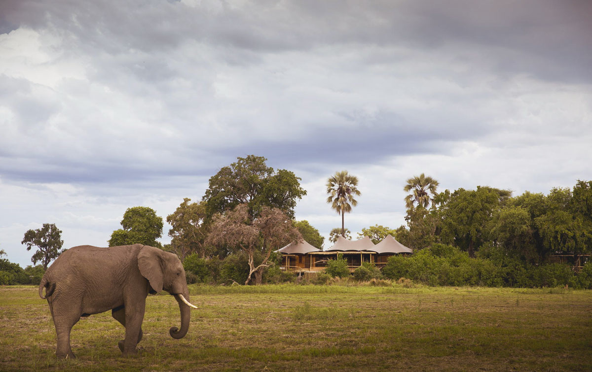 Mombo Camp, IntoBotswana.com