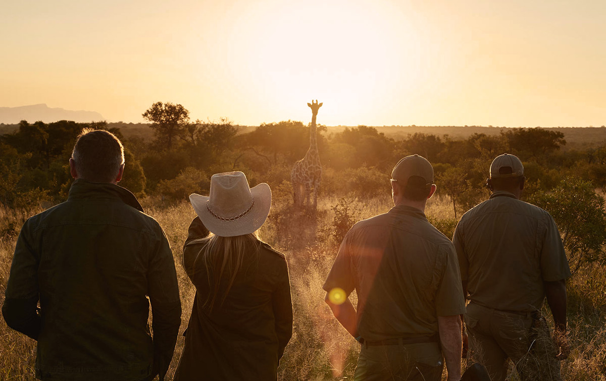 Private Jet Safari IntoBotswana.com