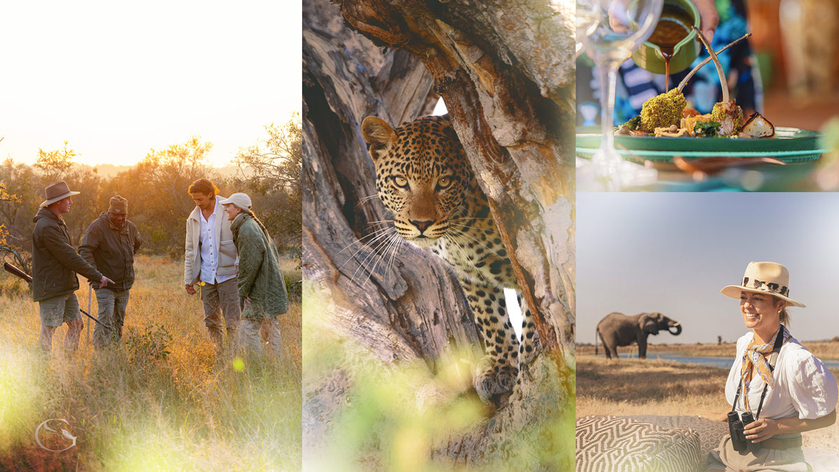 Luxury Private Jet Safari IntoBotswana.com