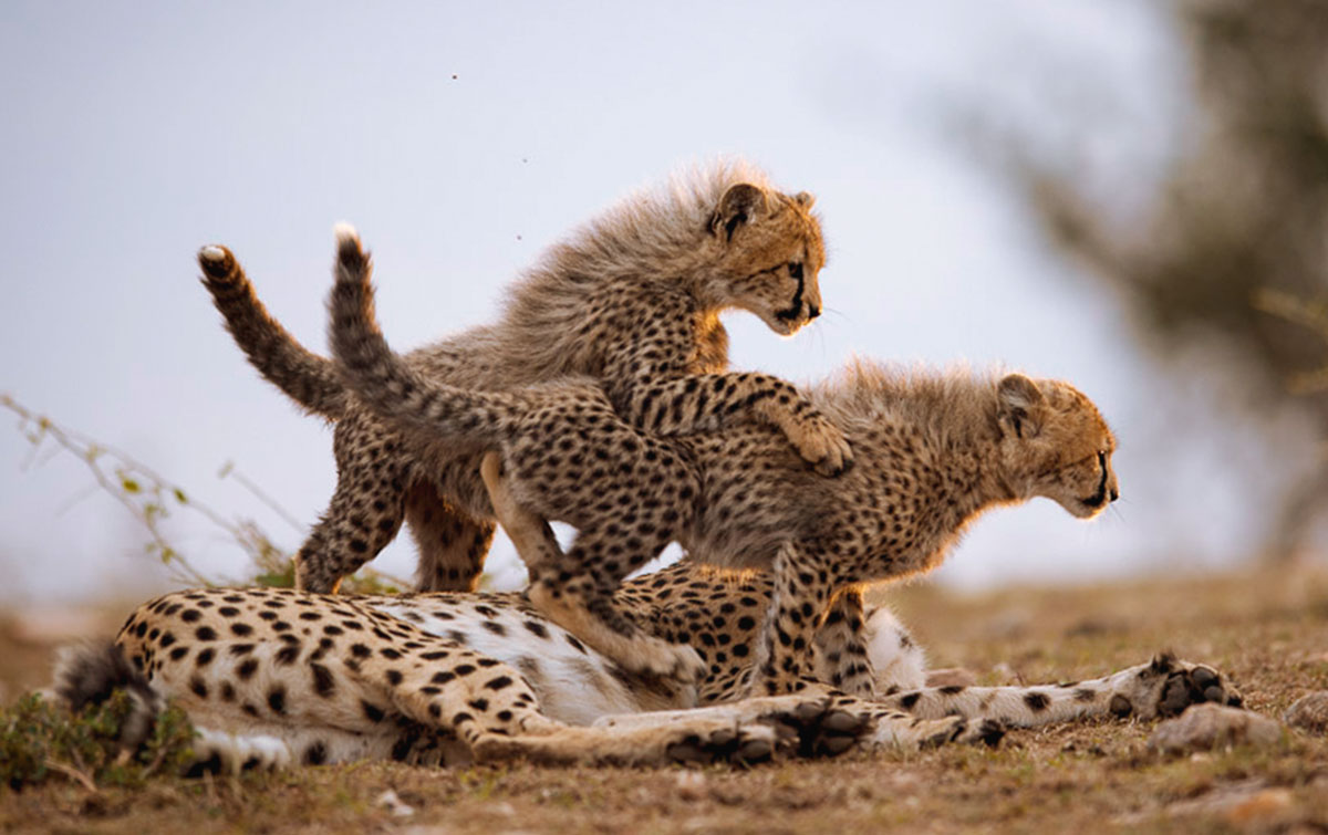 IntoBotswana.com Victoria Falls