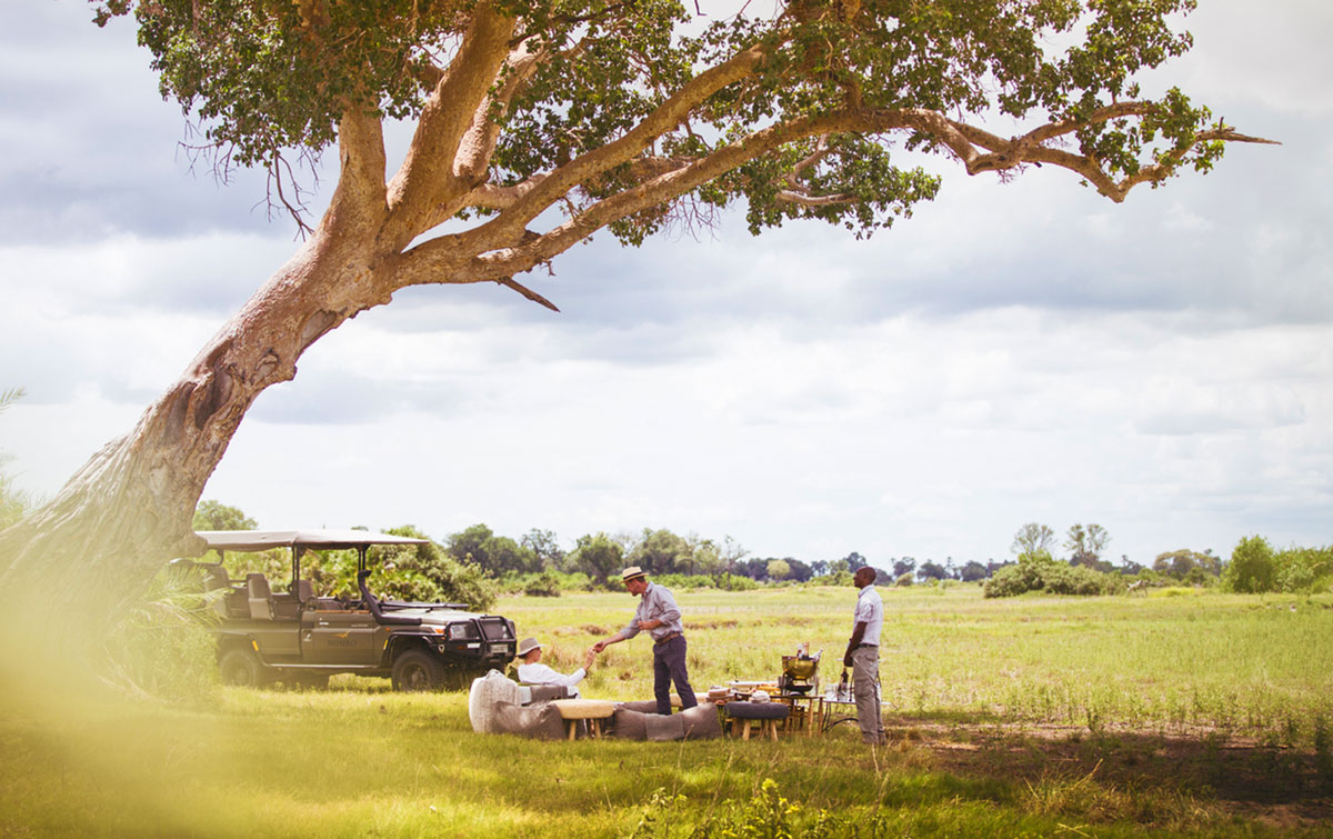 Game Drive stop at Mombo
