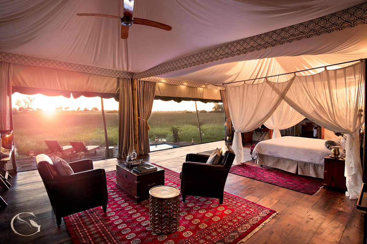 Duba Plains Camp
