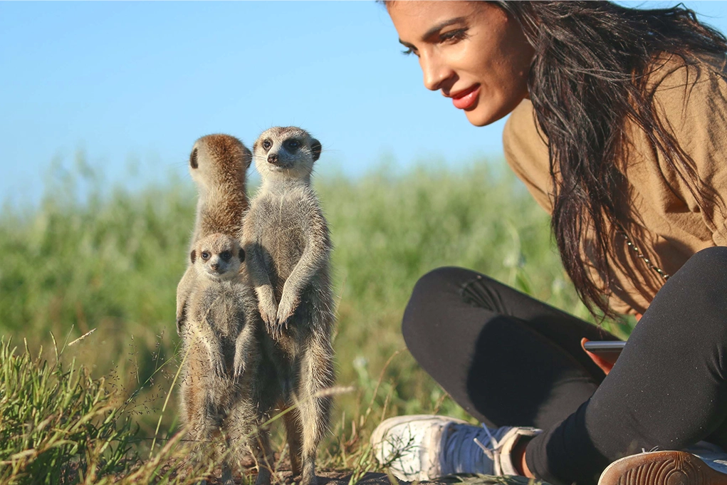 Quality time with the Meerkats