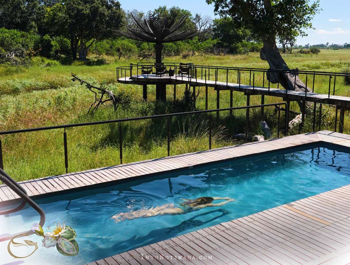 Pool deck overlooking the Okavango 