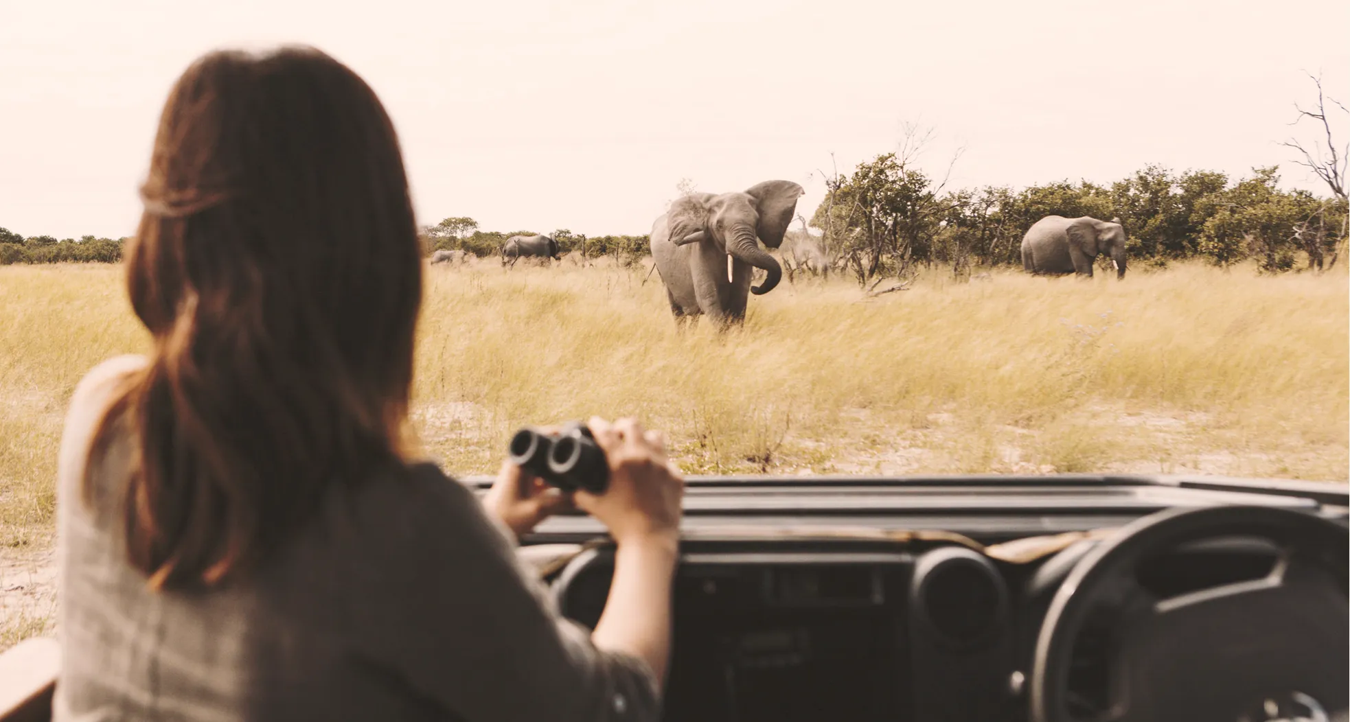 Into Botswana the perfect African Safari