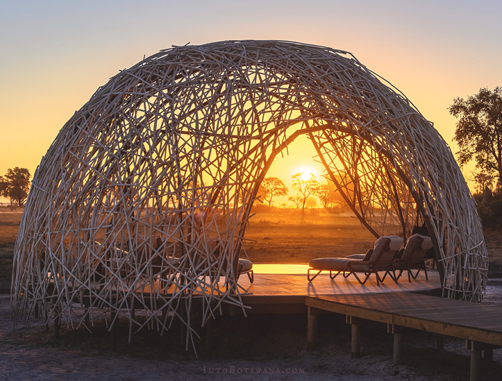Tranquil pool setting in the Okavango
