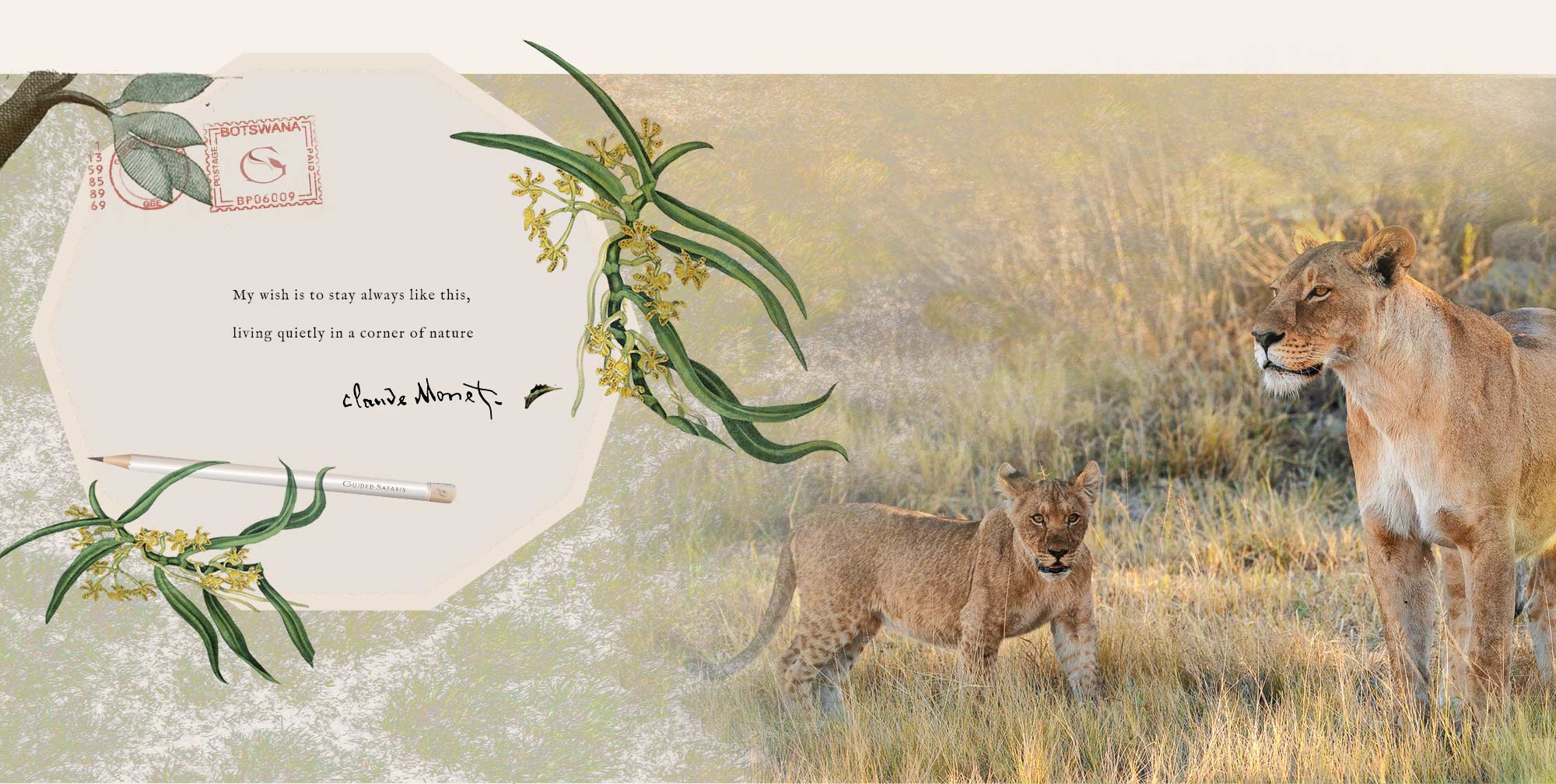 Guided Safaris® Private Journeys Botswana