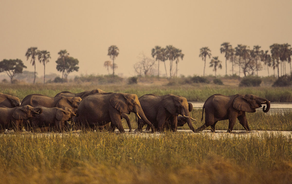 IntoBotswana.com Victoria Falls