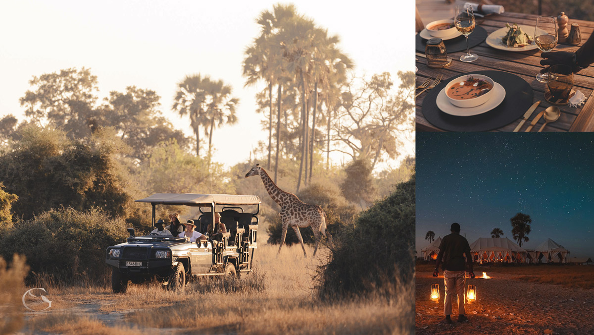 Mombo Camp Safari, IntoBotswana.com
