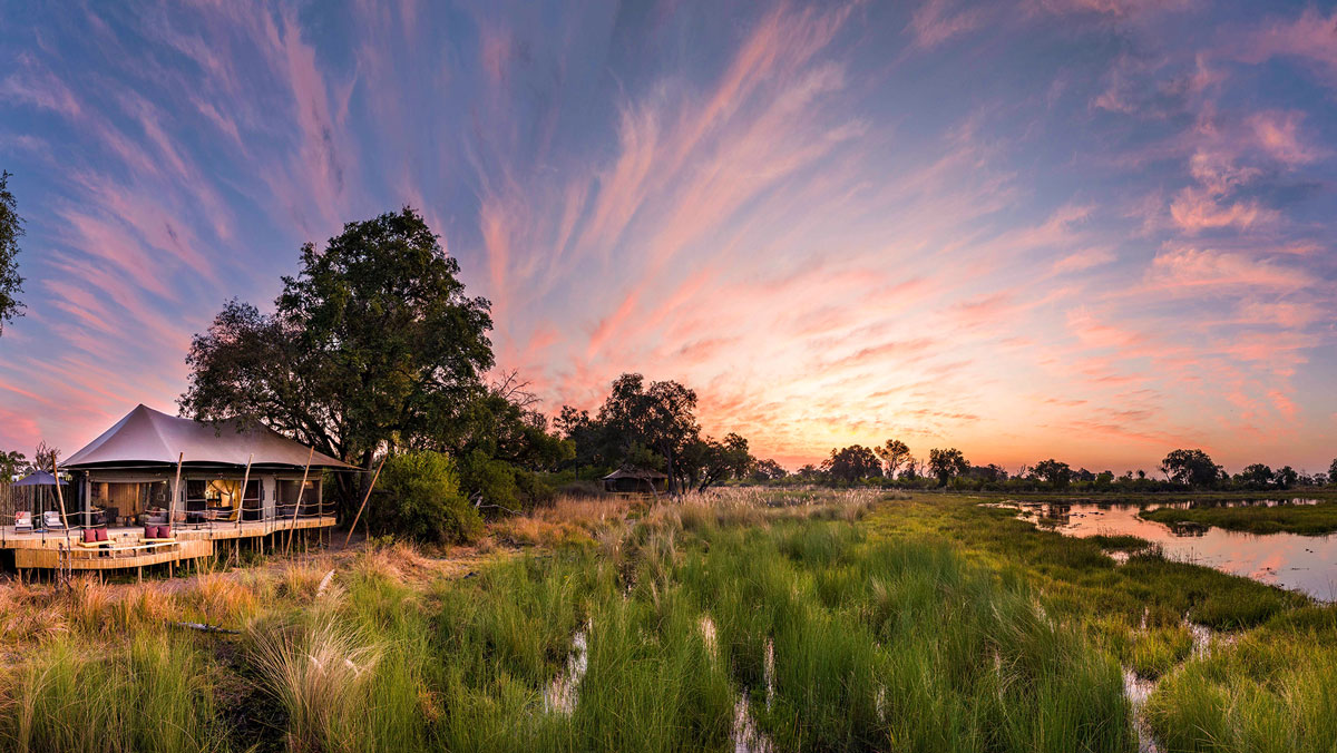 North Island Okavango IntoBotswana.com