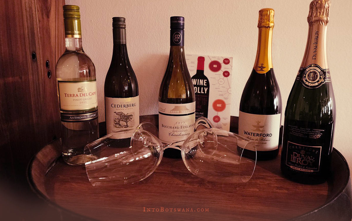 Award-winning South African Wine Cellar